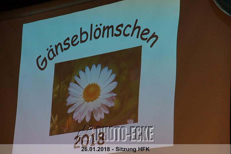 056.jpg