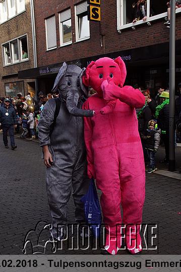 254.jpg