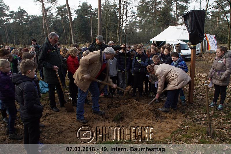 010.jpg
